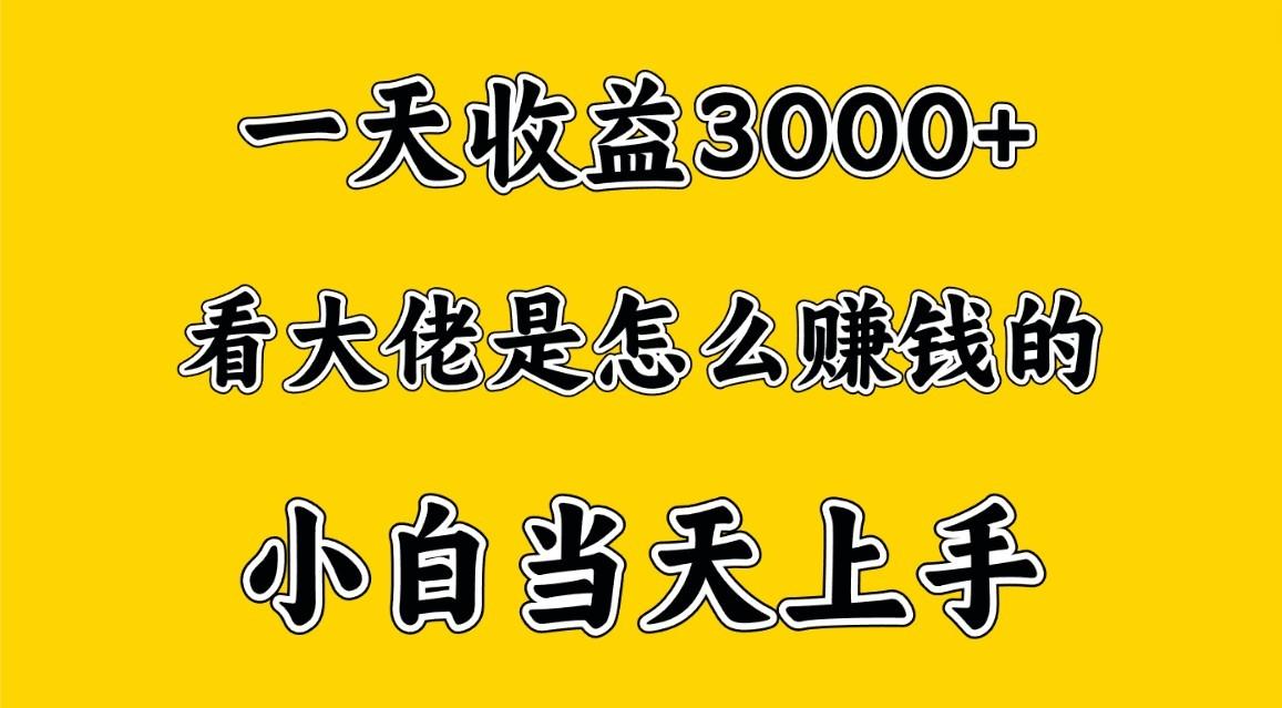 一天赚3000多，大佬是这样赚到钱的，小白当天上手，穷人翻身项目-极速轻创