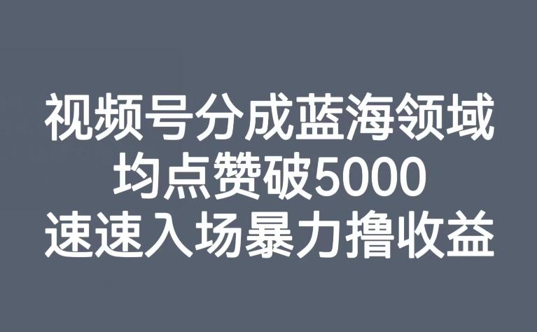 视频号分成蓝海领域，均点赞破5000，速速入场暴力撸收益-极速轻创