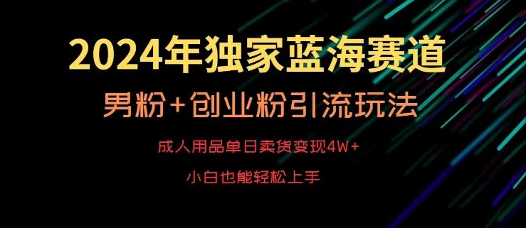 2024年独家蓝海赛道，成人用品单日卖货变现4W+，男粉+创业粉引流玩法，不愁搞不到流量【揭秘】-极速轻创