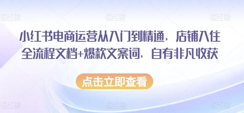 小红书电商运营从入门到精通，店铺入住全流程文档+爆款文案词，自有非凡收获-极速轻创