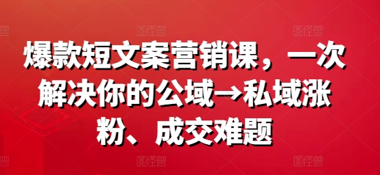 爆款短文案营销课，一次解决你的公域→私域涨粉、成交难题-极速轻创