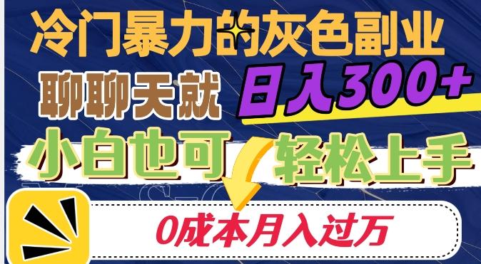 冷门暴利的副业项目，聊聊天就能日入300+，0成本月入过万【揭秘】-极速轻创