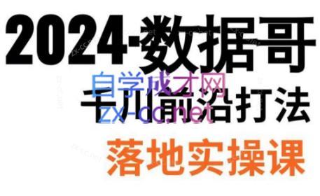 数据哥·2024年千川前沿打法落地实操课-极速轻创