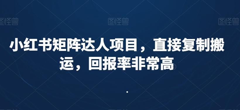 小红书矩阵达人项目，直接复制搬运，回报率非常高-极速轻创