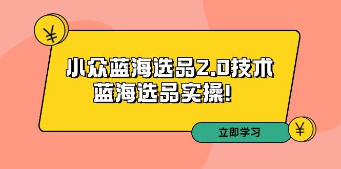 拼多多培训第33期：小众蓝海选品2.0技术-蓝海选品实操！-极速轻创