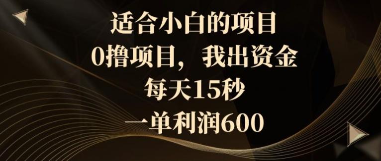 适合小白的项目，0撸项目，我出资金，每天15秒，一单利润600-极速轻创