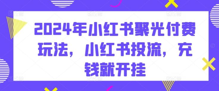 2024年小红书聚光付费玩法，小红书投流，充钱就开挂-极速轻创