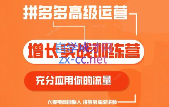 大麦老师·拼多多单品爆款打造课程(更新6月)-极速轻创