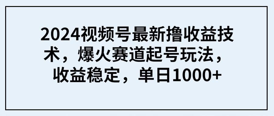 (9651期) 2024视频号最新撸收益技术，爆火赛道起号玩法，收益稳定，单日1000+-极速轻创