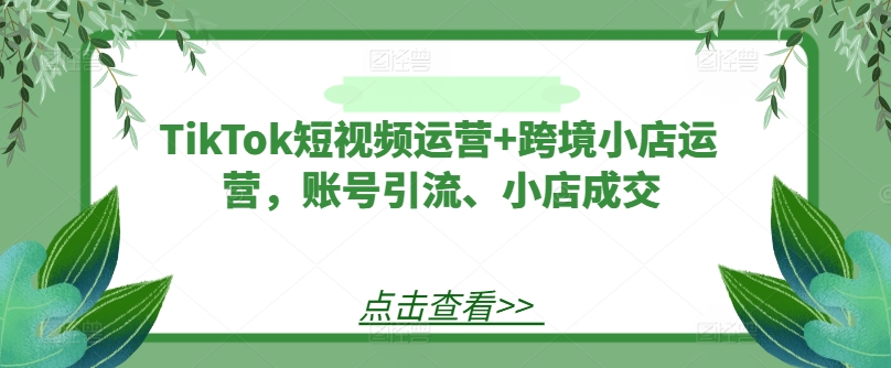 TikTok短视频运营+跨境小店运营，账号引流、小店成交-极速轻创