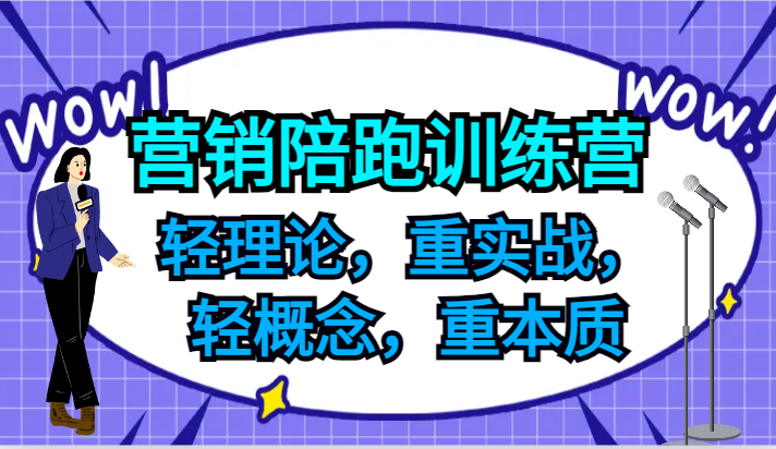 营销陪跑训练营，轻理论，重实战，轻概念，重本质，适合中小企业和初创企业的老板-极速轻创