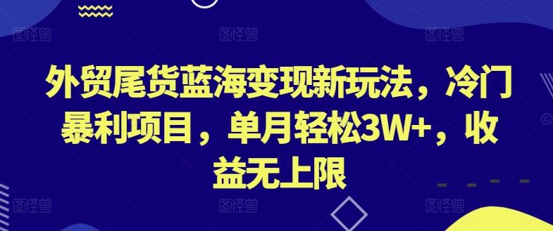 外贸尾货蓝海变现新玩法，冷门暴利项目，单月轻松3W+，收益无上限【揭秘】-极速轻创
