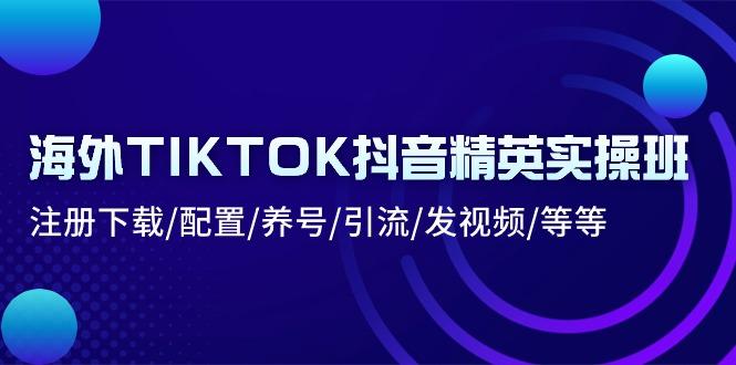 海外TIKTOK抖音精英实操班：注册下载/配置/养号/引流/发视频/等等-极速轻创