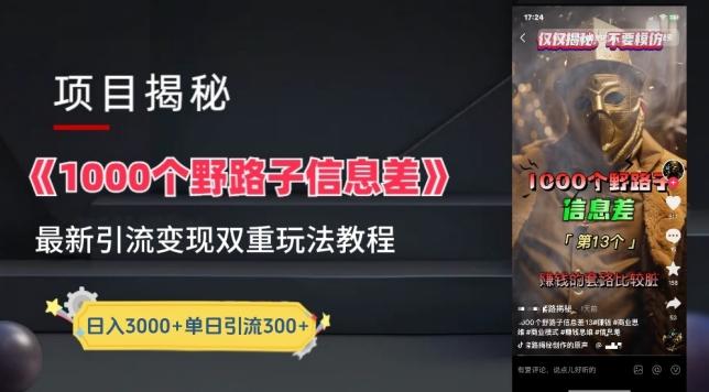 一千个野路子信息差最新玩法教程-变现+引流的玩法具体拆解【揭秘】-极速轻创