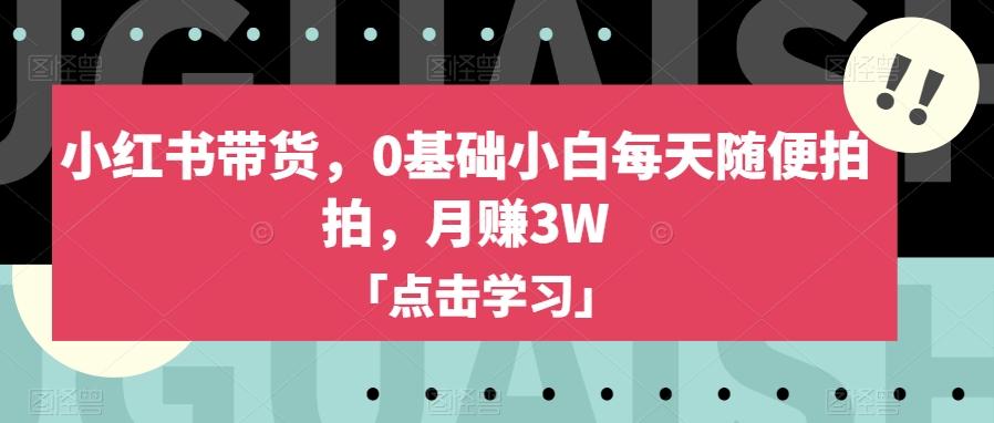 小红书带货，0基础小白每天随便拍拍，月赚3W【揭秘】-极速轻创