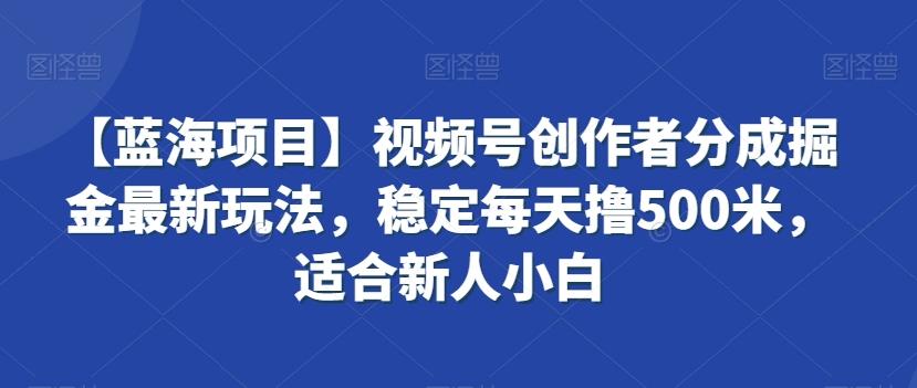 【蓝海项目】视频号创作者分成掘金最新玩法，稳定每天撸500米，适合新人小白【揭秘】-极速轻创