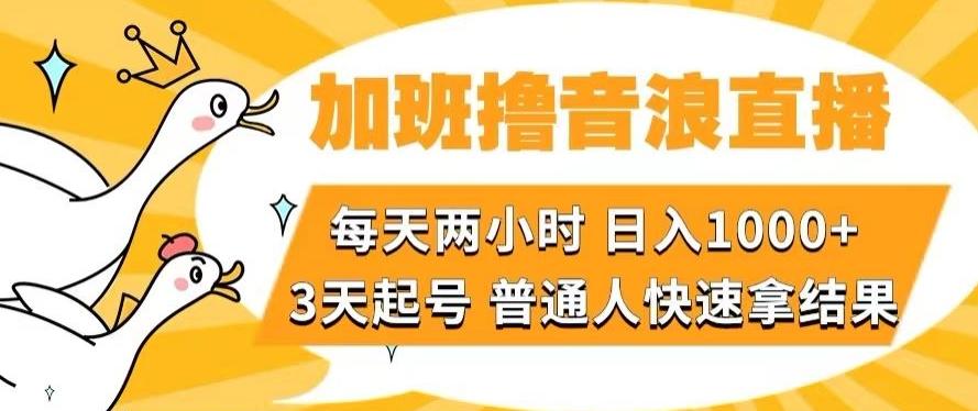 加班撸音浪直播，每天两小时，日入1000+，直播话术才3句，3天起号，普通人快速拿结果【揭秘】-极速轻创