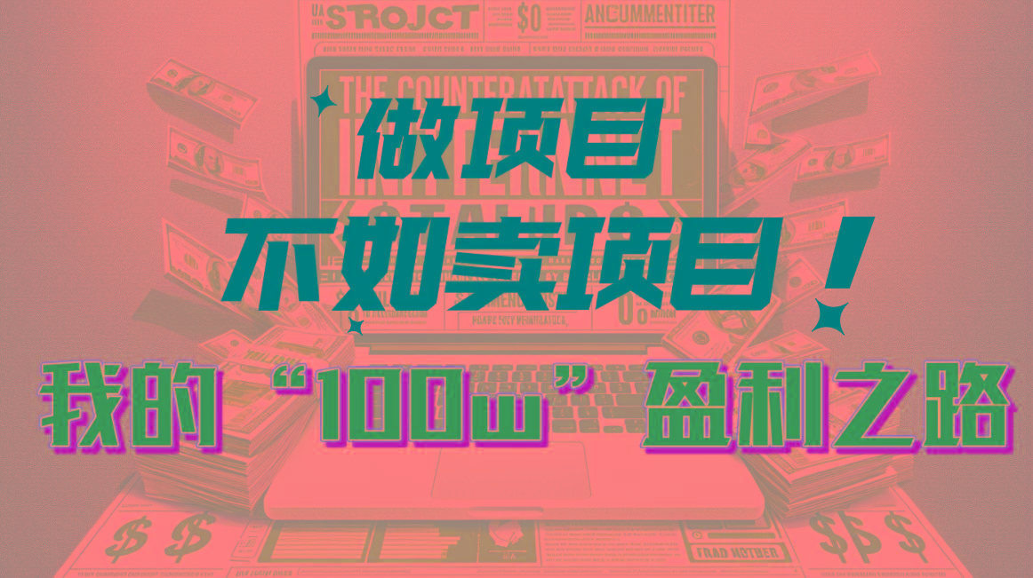 为什么做项目不如卖项目？我的100W+盈利之路-极速轻创