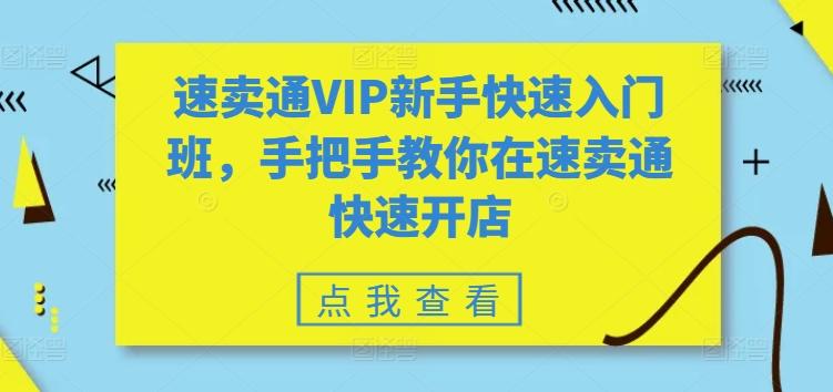 速卖通VIP新手快速入门班，手把手教你在速卖通快速开店-极速轻创
