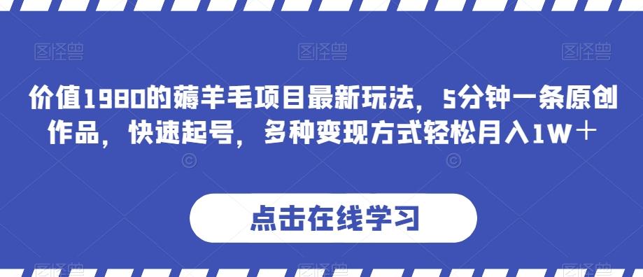 价值1980的薅羊毛项目最新玩法，5分钟一条原创作品，快速起号，多种变现方式轻松月入1W＋【揭秘】-极速轻创