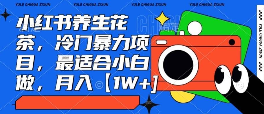 小红书养生花茶，冷门暴力项目，最适合小白做，月入【1W+】-极速轻创