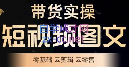 鑫哥·2024零基础短视频带货实操营-极速轻创