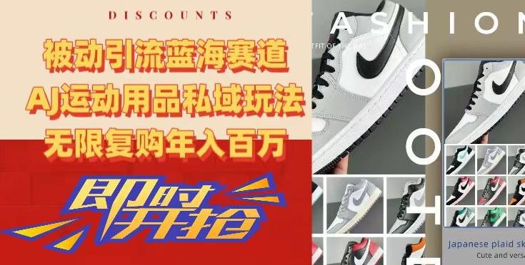 被动引流蓝海赛道，AJ运动用品私域玩法，无限复购年入百万【揭秘】-极速轻创