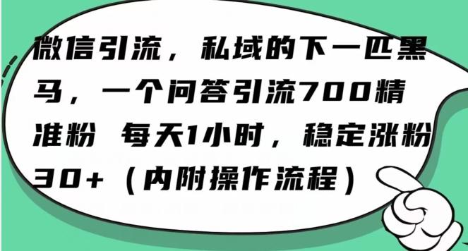 怎么搞精准创业粉？微信新赛道，每天一小时，利用Ai一个问答日引100精准粉-极速轻创