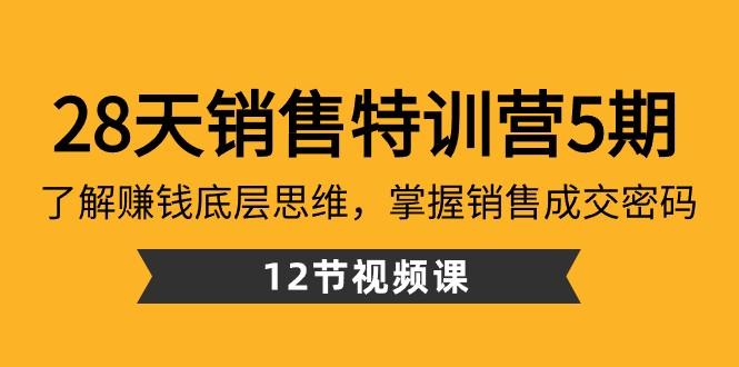 28天销售特训营5期：了解赚钱底层思维，掌握销售成交密码（12节课）-极速轻创