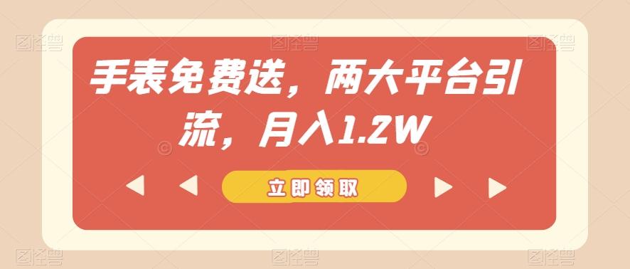 手表免费送，两大平台引流，月入1.2W【揭秘】-极速轻创