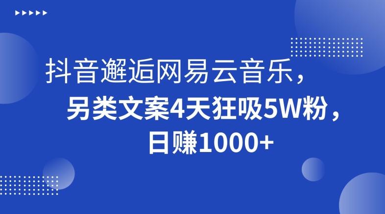 抖音邂逅网易云音乐，另类文案4天狂吸5W粉，日赚1000+【揭秘】-极速轻创