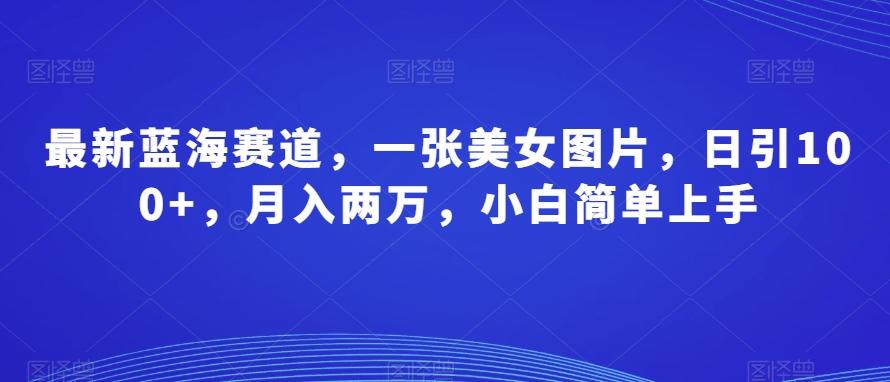 最新蓝海赛道，一张美女图片，日引100+，月入两万，小白简单上手-极速轻创