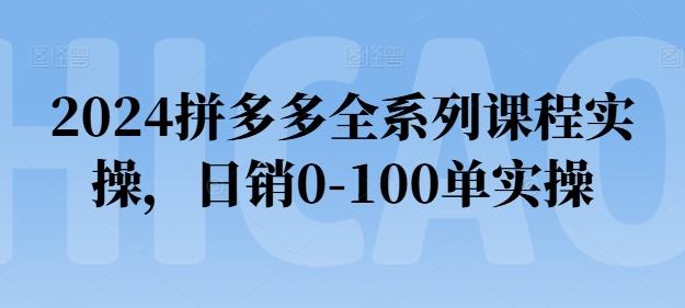 2024拼多多全系列课程实操，日销0-100单实操【必看】-极速轻创