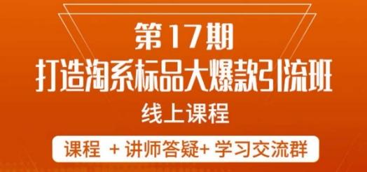 南掌柜-第17期打造淘系标品大爆款，5天线上课-极速轻创
