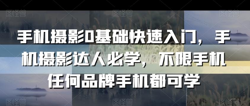 手机摄影0基础快速入门，手机摄影达人必学，不限手机任何品牌手机都可学-极速轻创