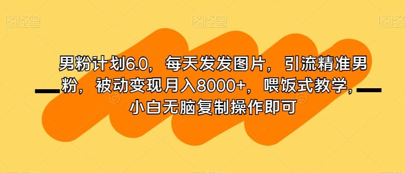 男粉计划6.0，每天发发图片，引流精准男粉，被动变现月入8000+，喂饭式教学，小白无脑复制操作即可-极速轻创