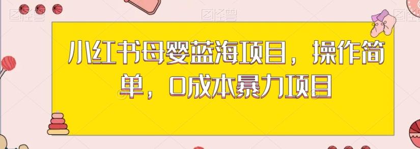 小红书母婴蓝海项目，操作简单，0成本暴力项目-极速轻创