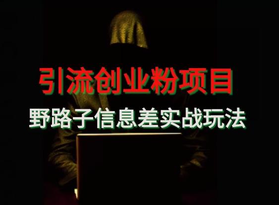 【引流创业粉】野路子信息差玩法实战教学-极速轻创