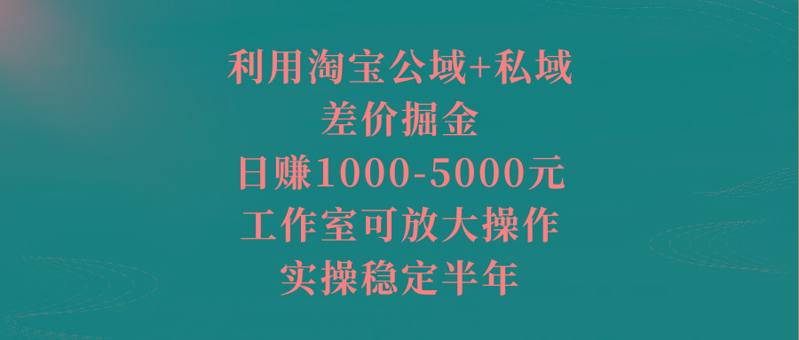 利用淘宝公域+私域差价掘金，日赚1000-5000元，工作室可放大操作，实操…-极速轻创