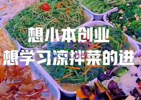 李记·精品凉拌菜系列热卤系列教程-极速轻创