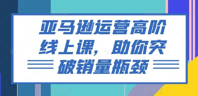 亚马逊运营高阶线上课，助你突破销量瓶颈-极速轻创