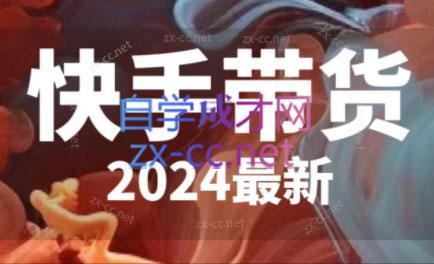 快手带货(2024最新)-极速轻创