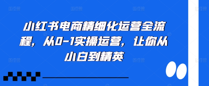小红书电商精细化运营全流程，从0-1实操运营，让你从小白到精英-极速轻创