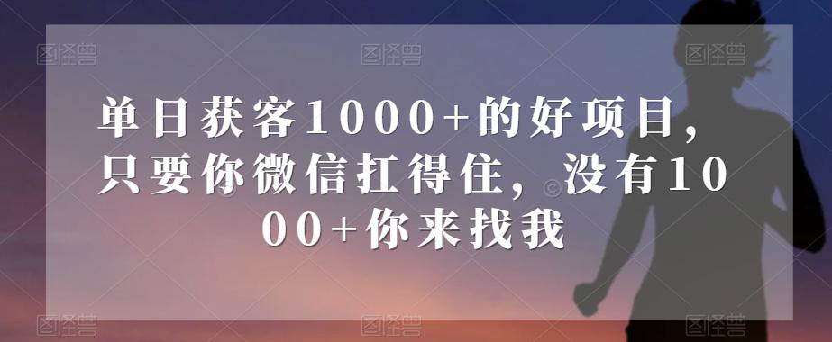 单日获客1000+的好项目，只要你微信扛得住，没有1000+你来找我【揭秘】-极速轻创