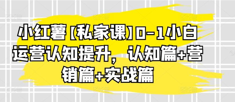 小红薯【私家课】0-1小白运营认知提升，认知篇+营销篇+实战篇-极速轻创