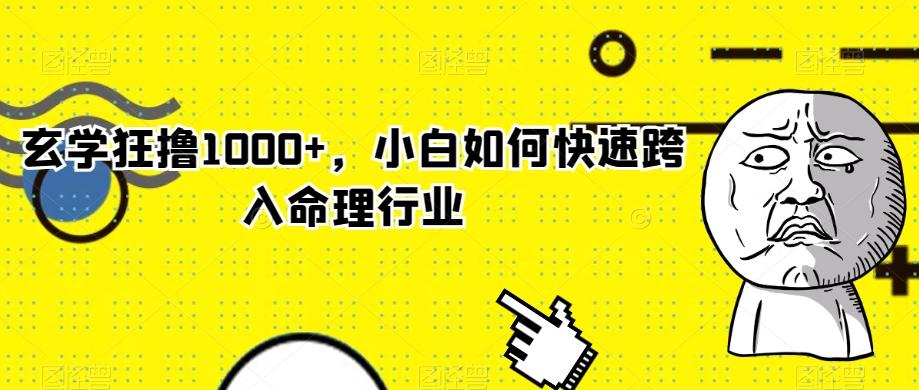玄学狂撸1000+，小白如何快速跨入命理行业-极速轻创