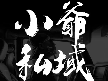 小爷·私域项目操盘手-极速轻创