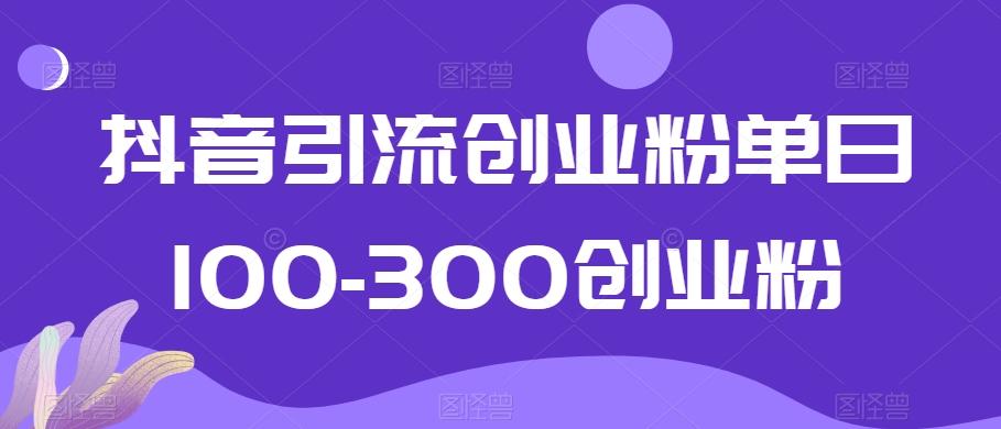 抖音引流创业粉单日100-300创业粉【揭秘】-极速轻创