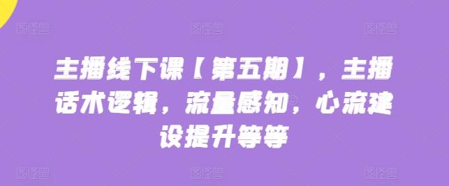 主播线下课【第五期】，主播话术逻辑，流量感知，心流建设提升等等-极速轻创
