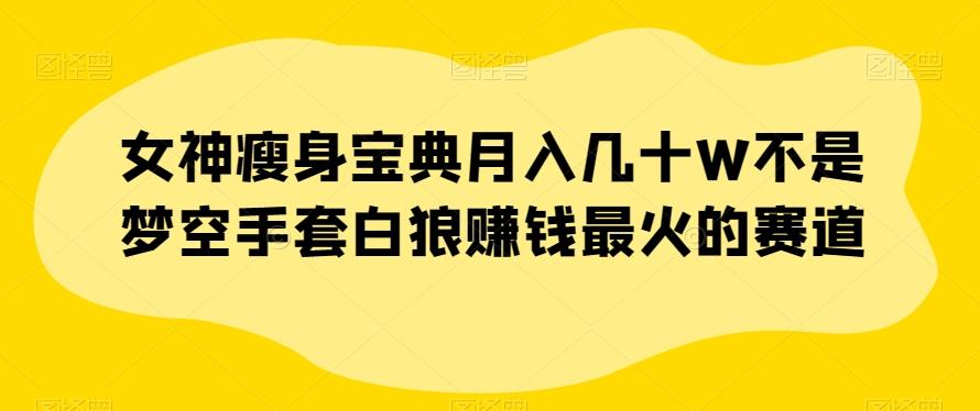 女神瘦身宝典月入几十W不是梦空手套白狼赚钱最火的赛道【揭秘】-极速轻创